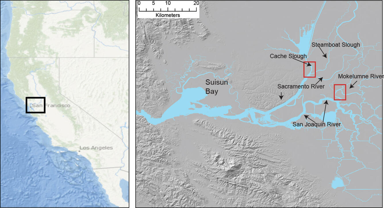 Map of California with a box drawn around the Delta region, next to expanded map of the Delta labeled with features.