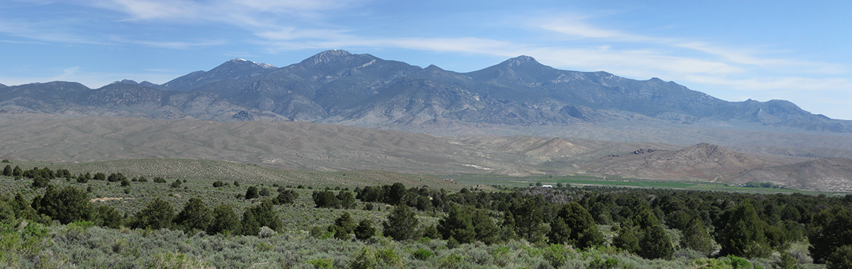 Sacramento Range, Snake Valley, Nev.