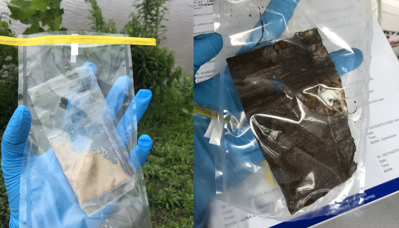 Two different bags containing collected SPATT samples