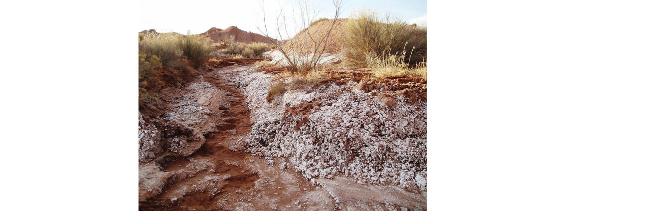 San Rafael Wash showing salt residue on banks