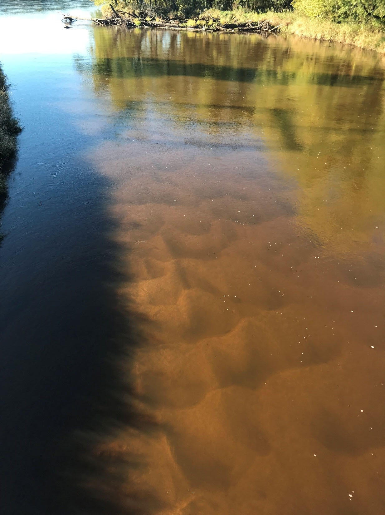 Sand dunes on the bed of a Chippewa River sidechannel