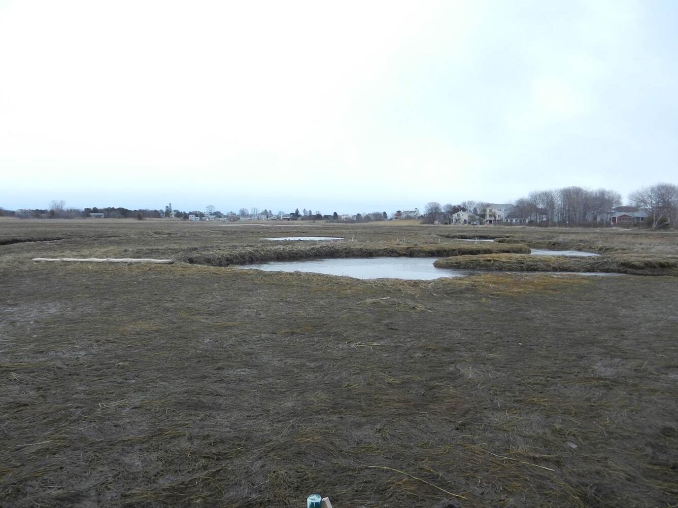 Salt Marsh Integrity