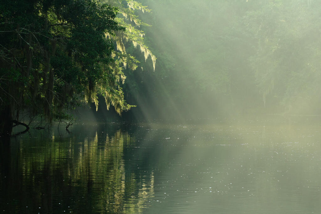 Fog over the Sante Fe River, Florida
