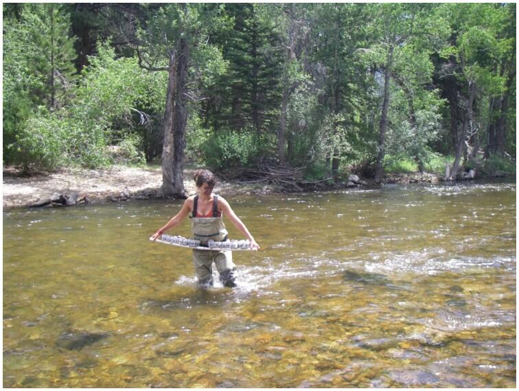 Lauren Hargis, USGS, deploys a rack of rock trays into the Poudre River, Colorado. Photo by: Chris Mebane, USGS.