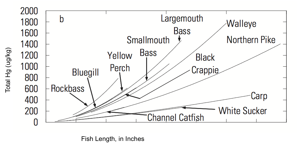 Example