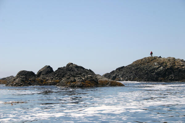 Nearshore Project member overlooking sea