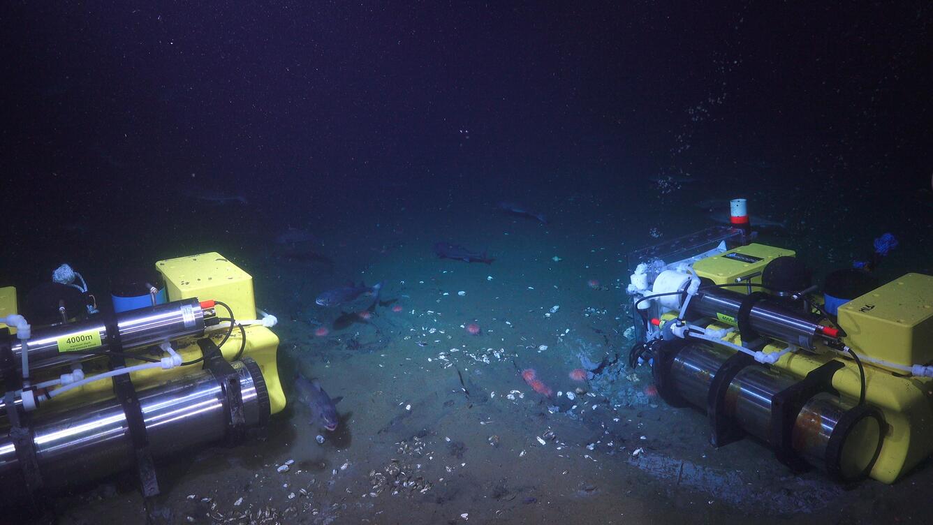 Photograph of 2 UNC mini landers surrounded by Sablefish