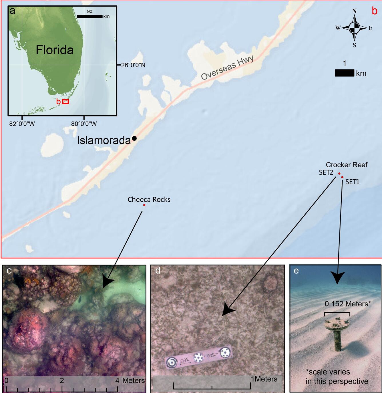 A map illustration shows the location of study, and three photos across the bottom show examples of the study location.
