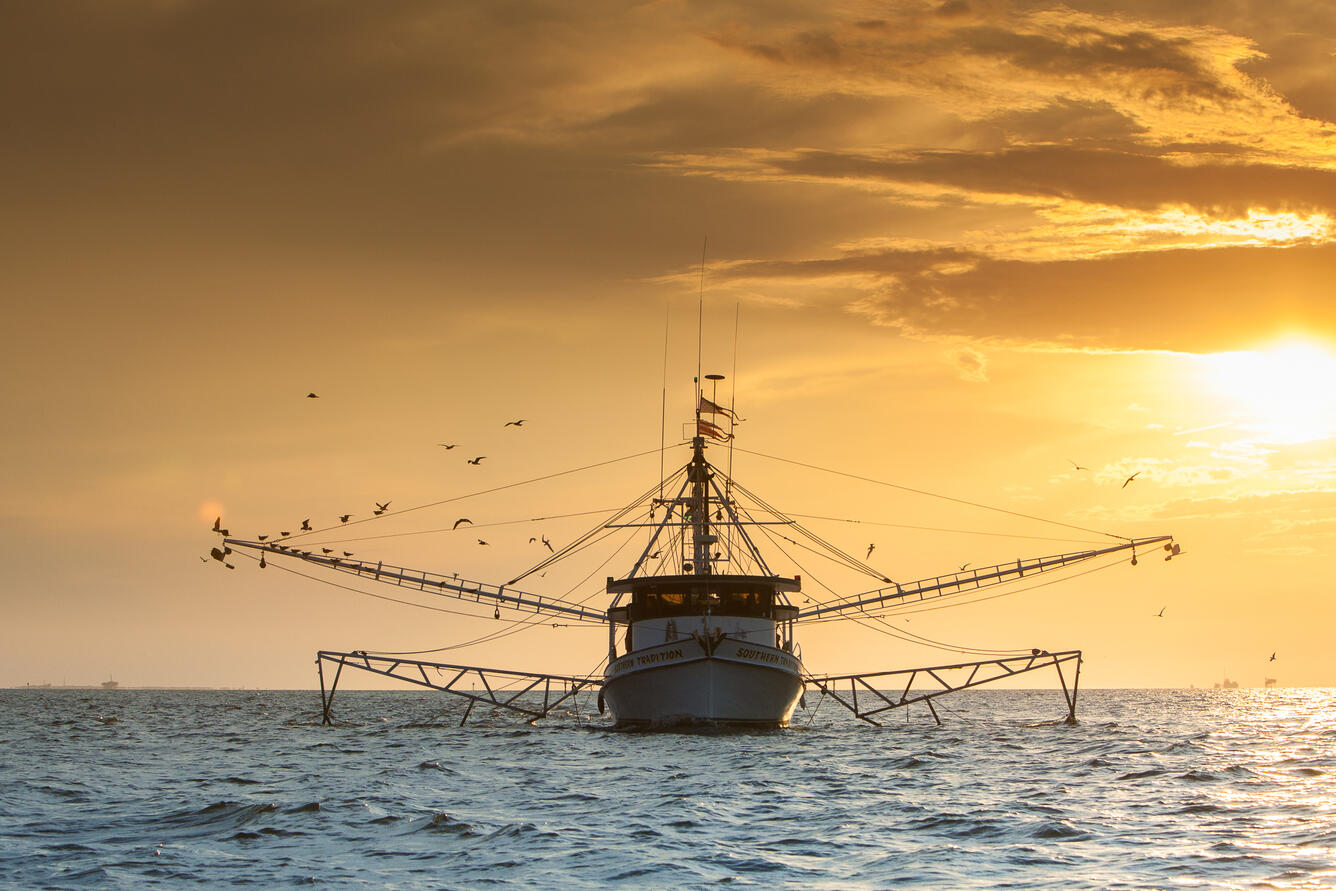 Shrimp Boat on Mobile Bay