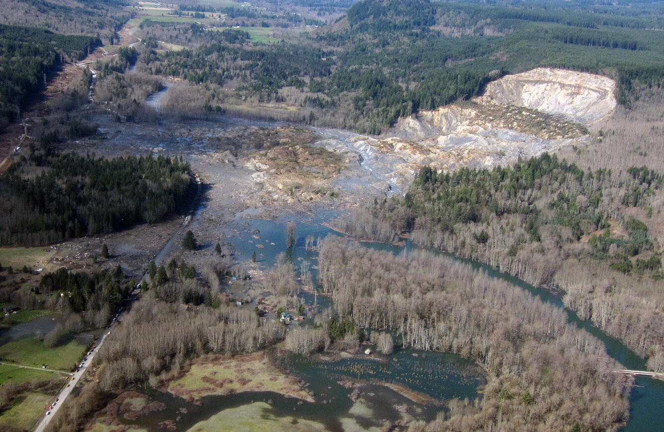 aerial view of trees, water, and landslide