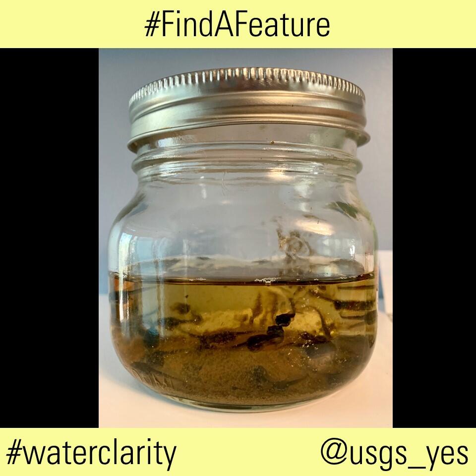 This image shows a jar of water/tadpoles and the hashtags #findafeature and #waterclarity with the social media handle @usgs_yes