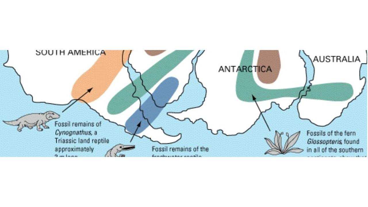 Crop of Wegner's fossil evidence for plate movement