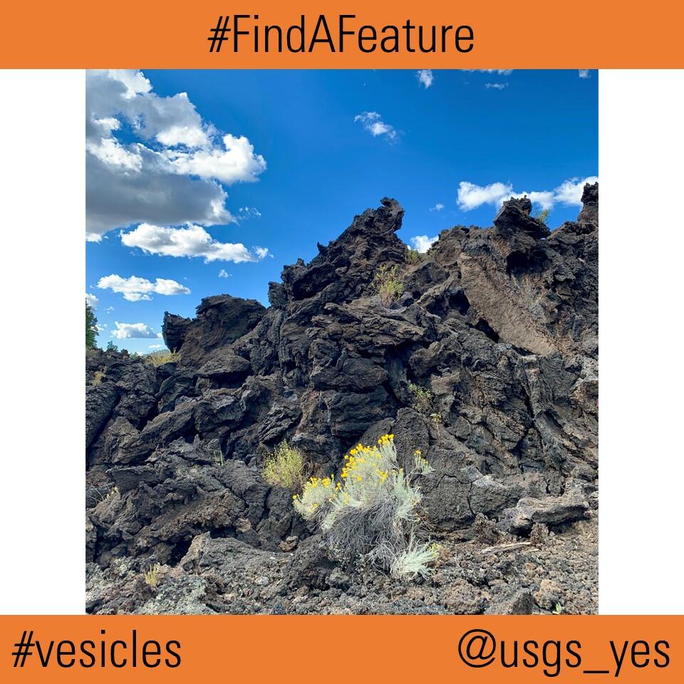 This image shows a lava field and blue sky with desert plants in the foreground.
