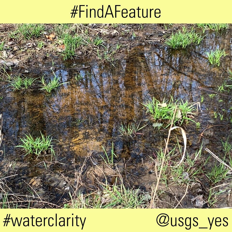 This image shows a small pond and the hashtags #findafeature and #waterclarity with the social media handle @usgs_yes