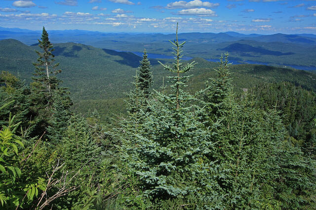 Snowy Mountain Adirondack Park NY