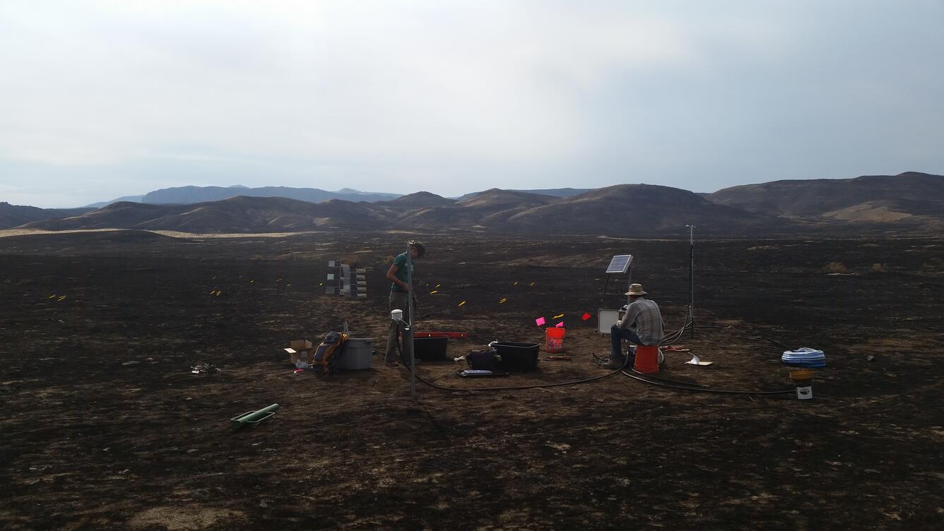 Vegetation monitoring in the area burned by the Soda Fire, 2015