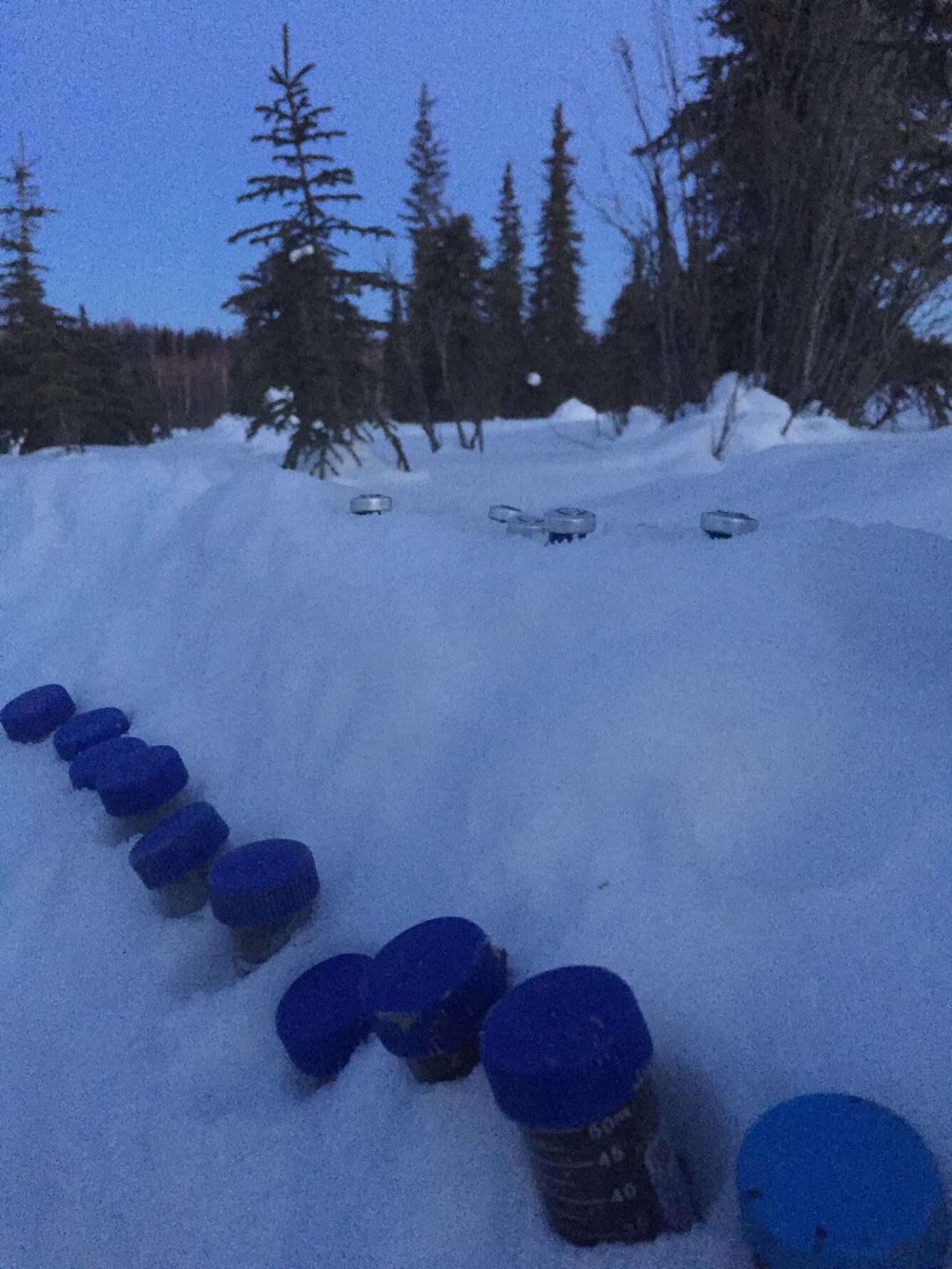 samples keeping cold in snow