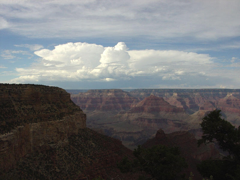 This is a photo of a late afternoon thunderstorm rising over the North Rim of the Grand Canyon.