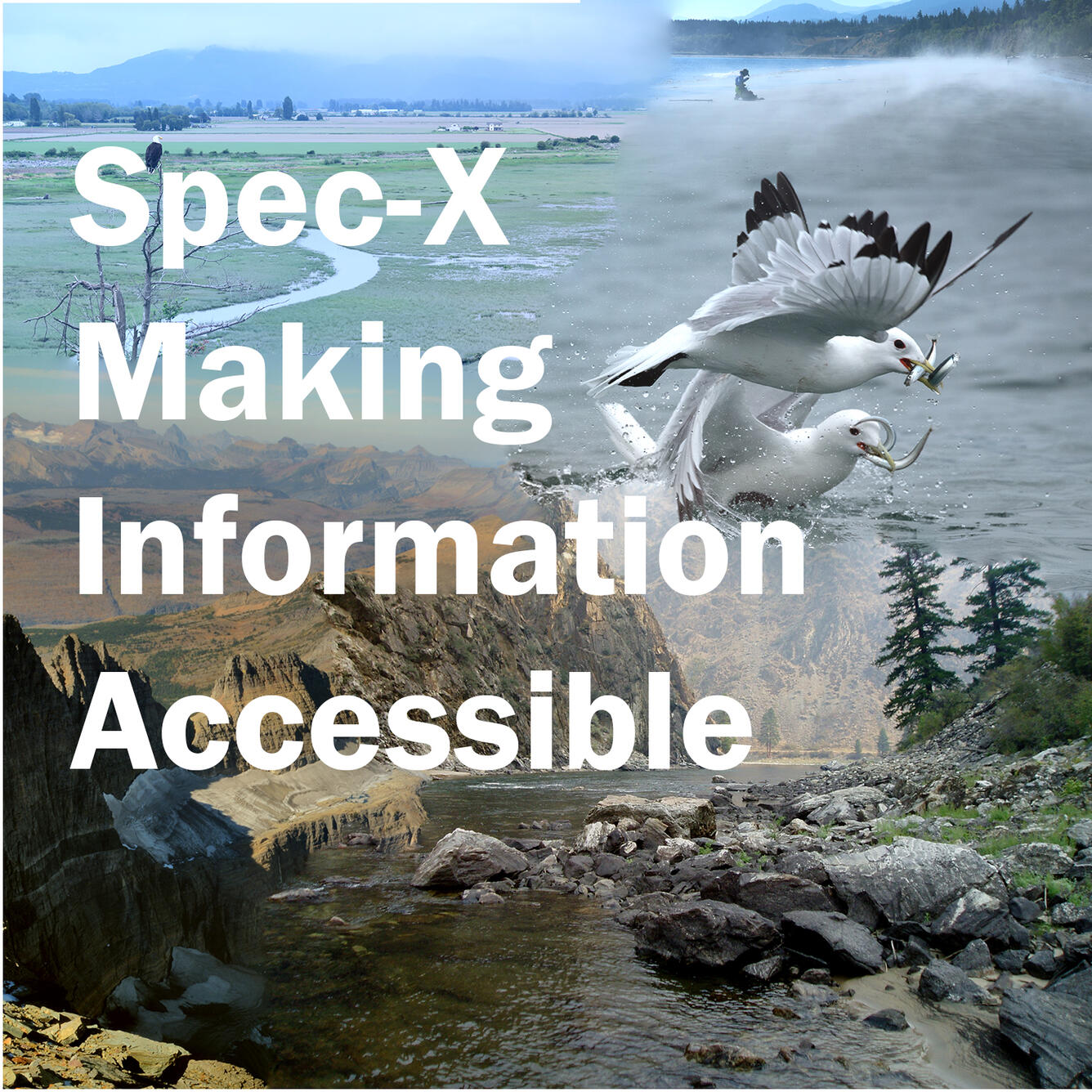 Spec-X Making Information Accessible