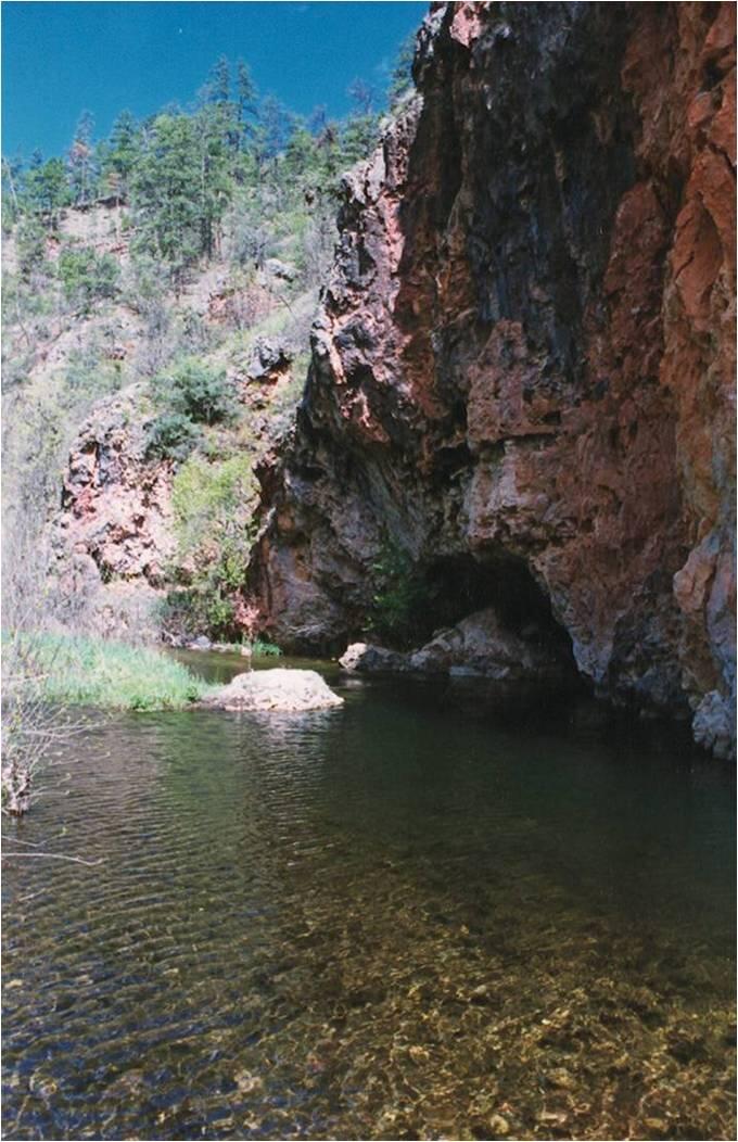 Spring Creek