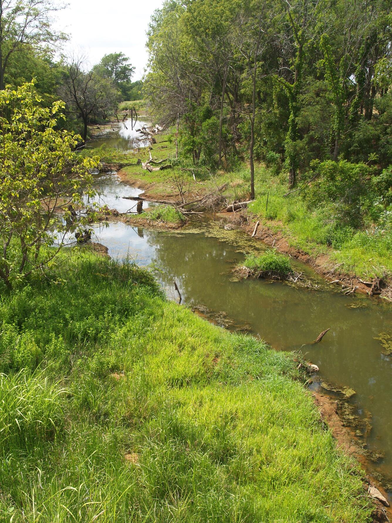 Spring near Colony, Oklahoma, 2011. Photograph taken by S. Jerrod Smith.