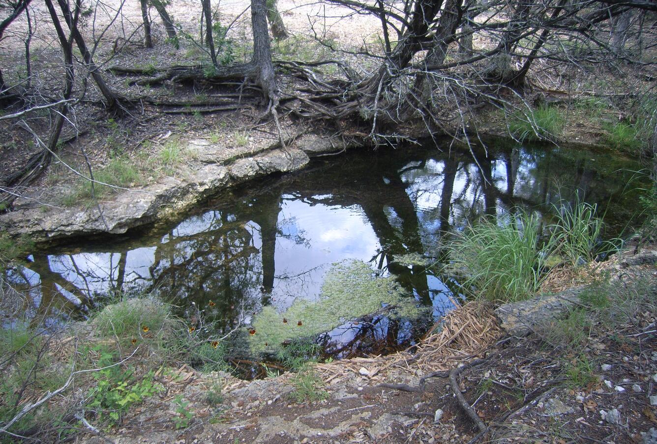 Springs at Camp Bullis