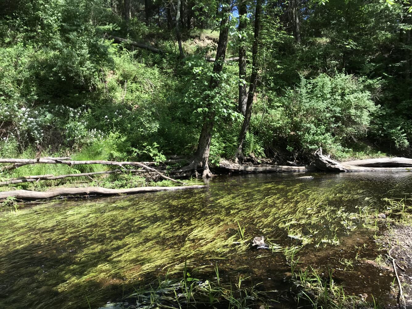 Stillwater River Sterling MA