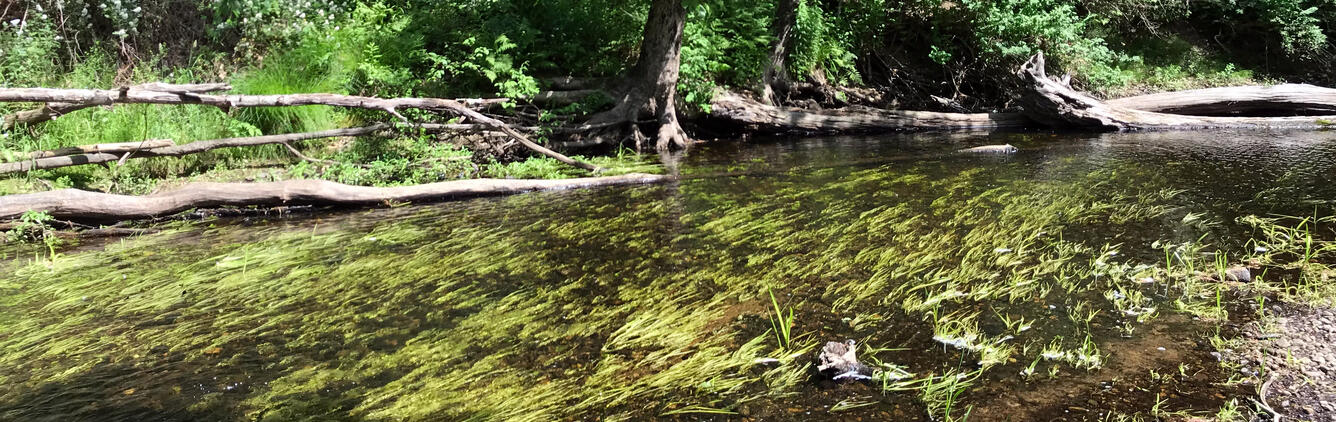 Stillwater River Sterling MA ecosystems banner