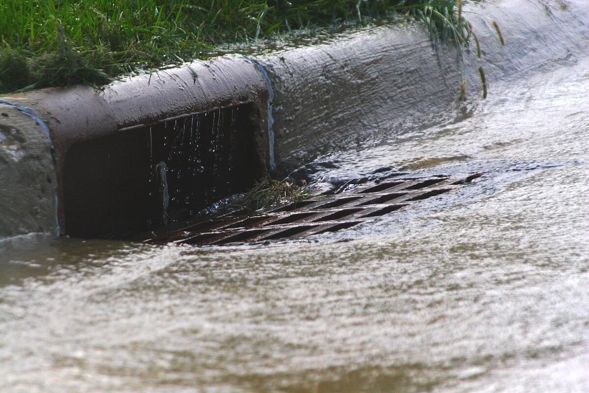 Storm sewer drain