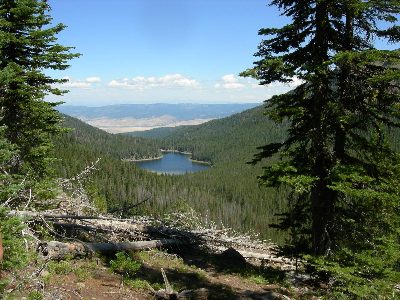 strawberry lake
