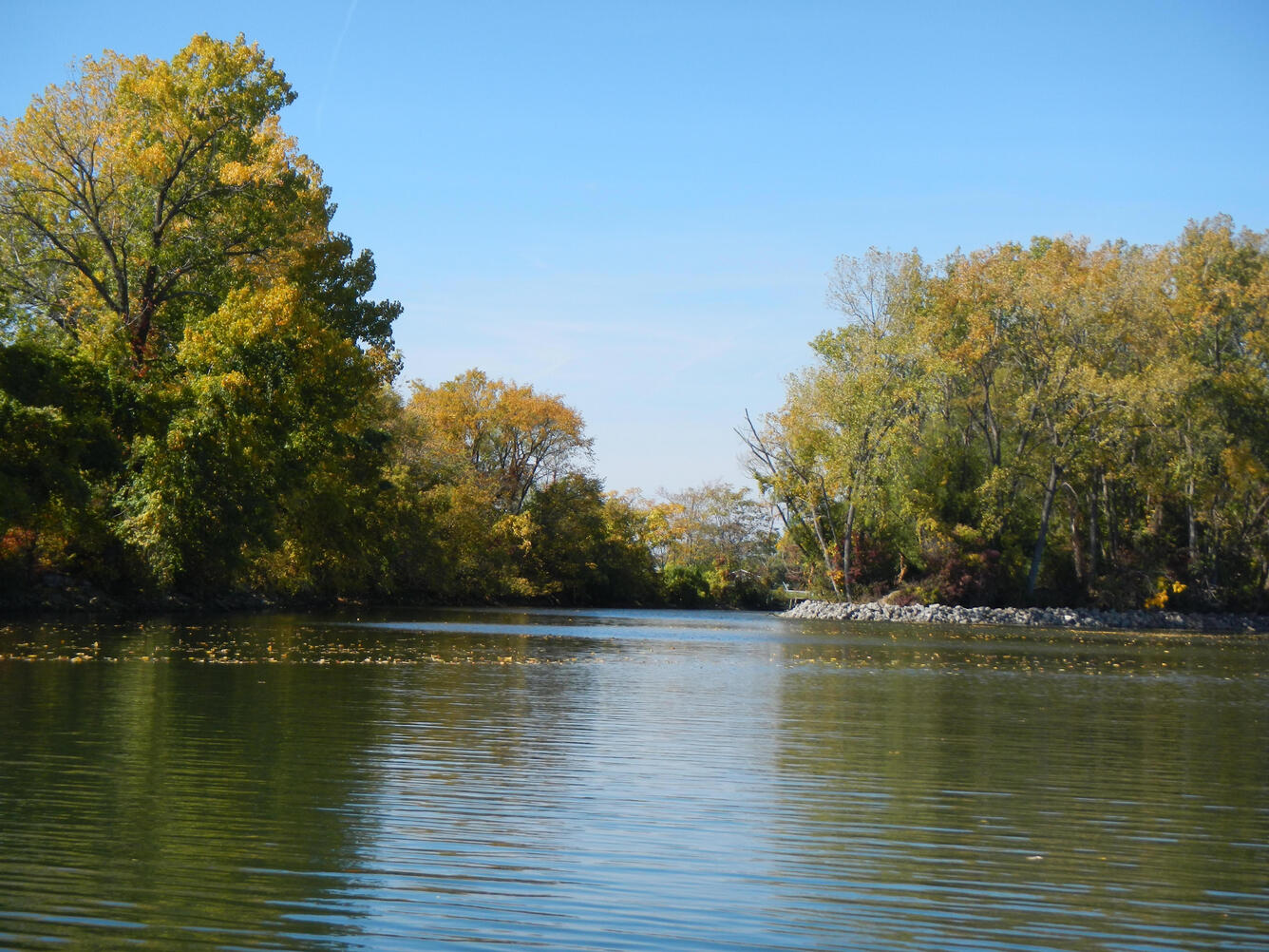 River with blue reflection, in late summer, leaves just starting to turn from green to gold.