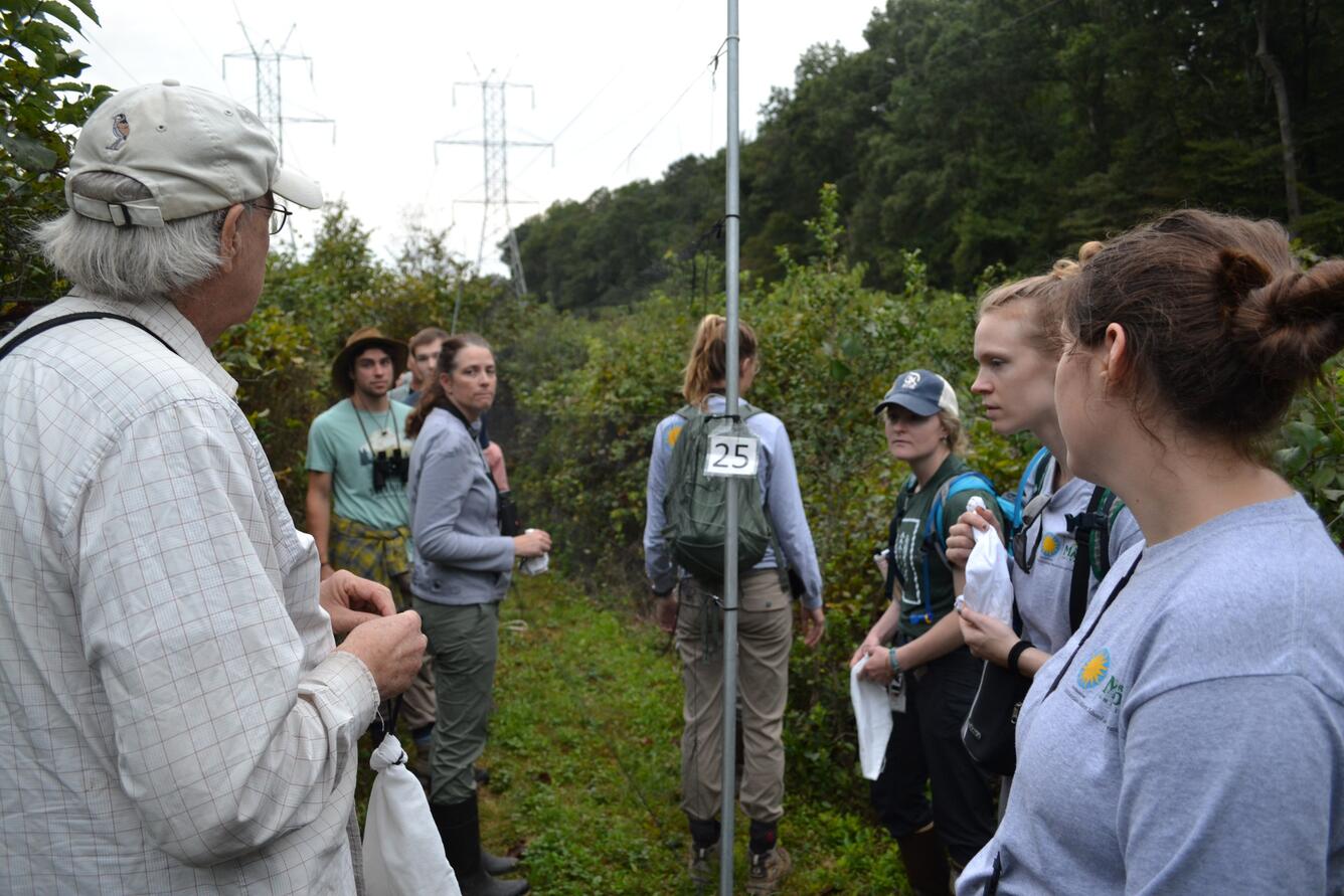 Group of students gathered on either side of mist net while biologist supervises 