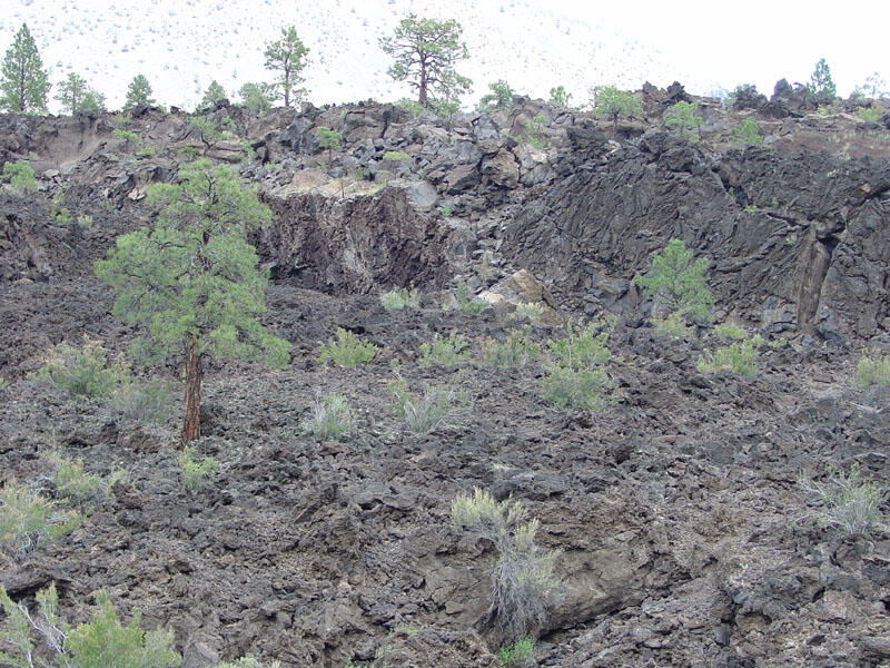 This is a photo of the Bonito Lava Flow.