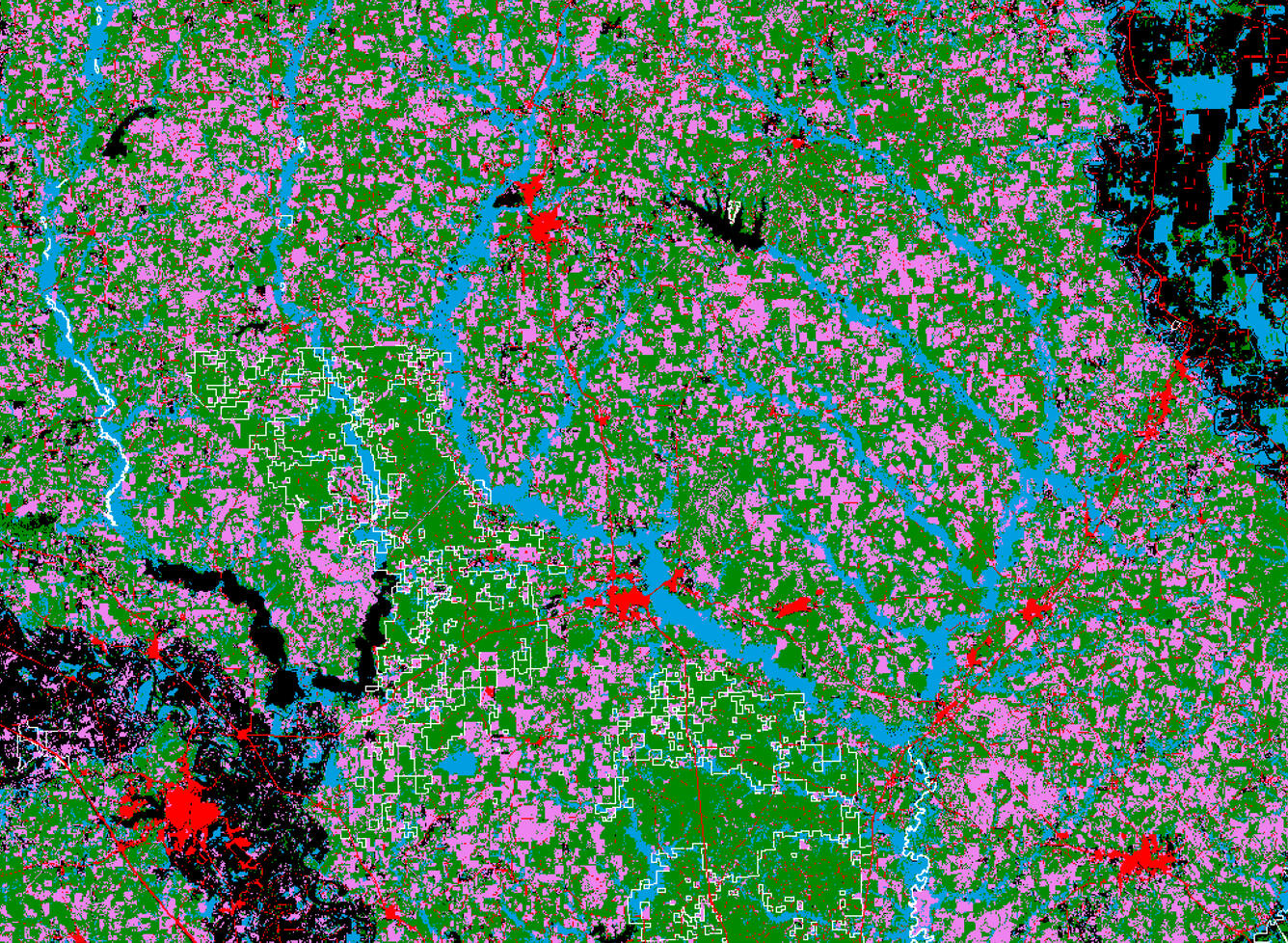 Detail from landuse change figure