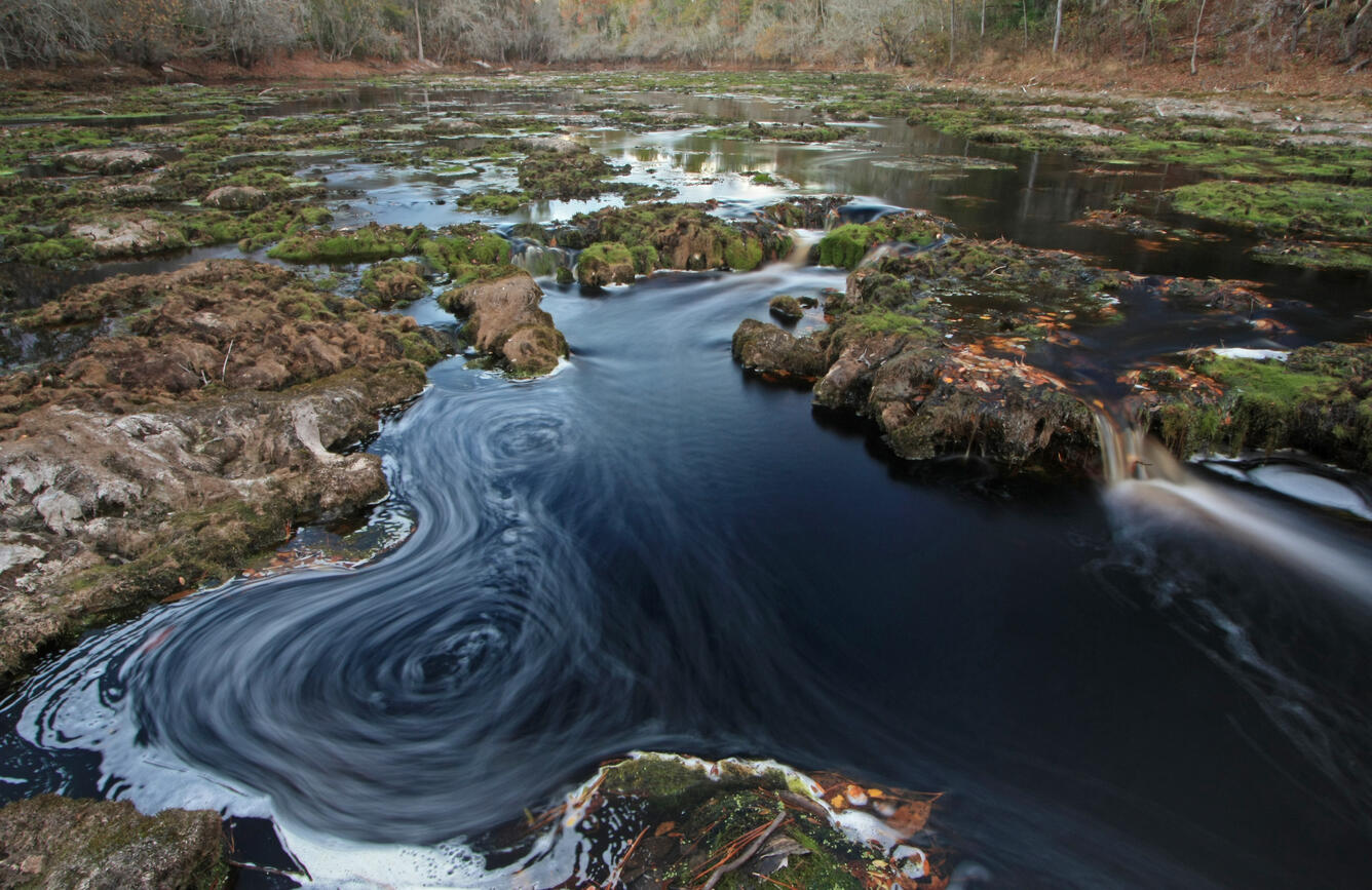 Water in the Suwannee River in Florida swirls and rushes through rocks.