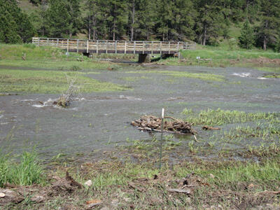 Evidence of heavy runoff on July 7 near Rochford