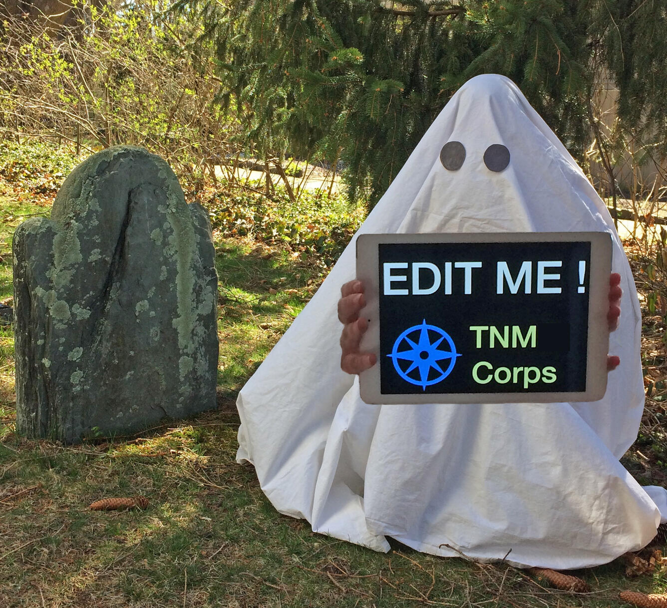 Picture of a citizen science volunteer dressed as a ghost