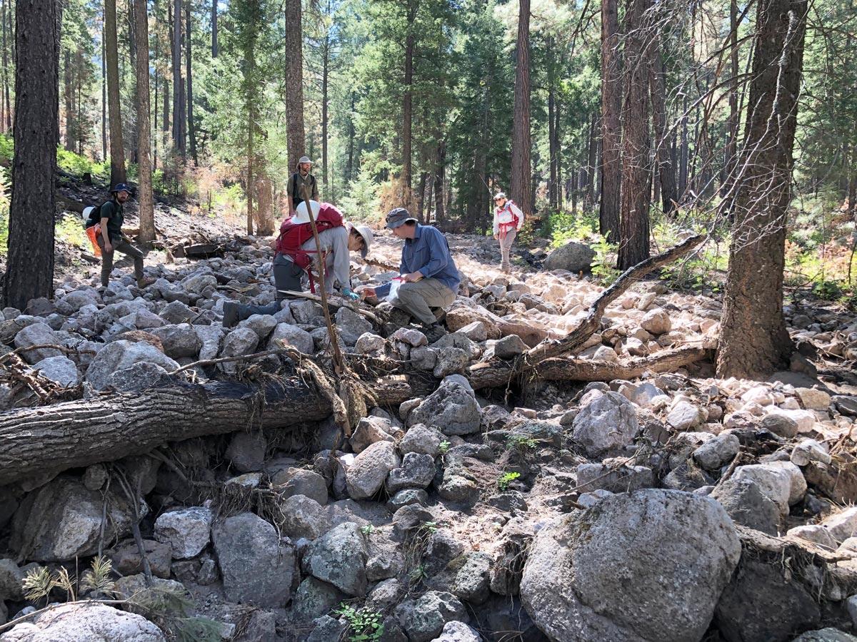 people in a forest with large rocks and boulders strewn around