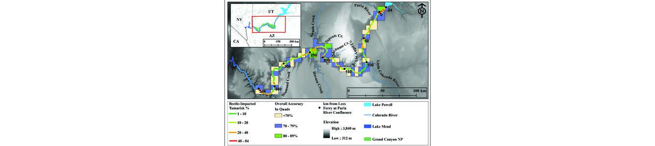 Aerial imagery allows tamarisk leaf beetle monitoring