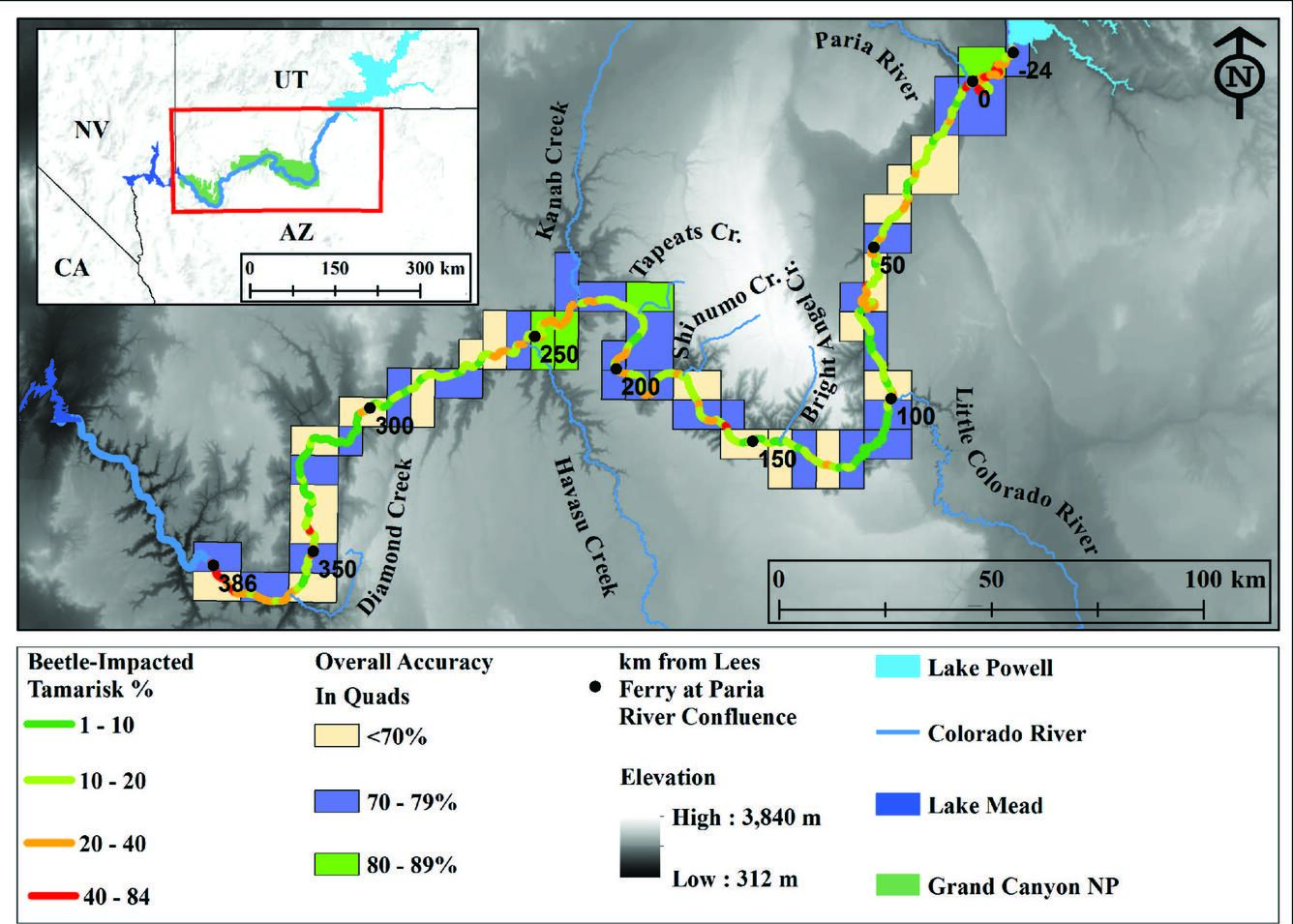 Aerial imagery of Grand Canyon with tamarisk leaf beetle defoliation