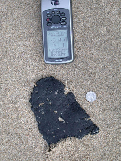 A dried glob of tar is shown on beach sand below a GPS unit showing the coordinates, and a quarter for size.