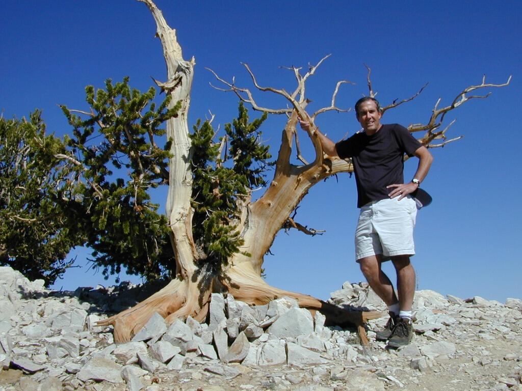 Dr. Ted Simons