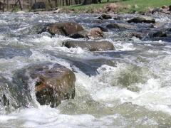 Boulders in stream