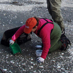 Theresa Liedtke - Profile Image