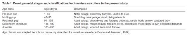 Age classes used to describe sea otter development, based on work by Susan Payne and Ronald Jameson.