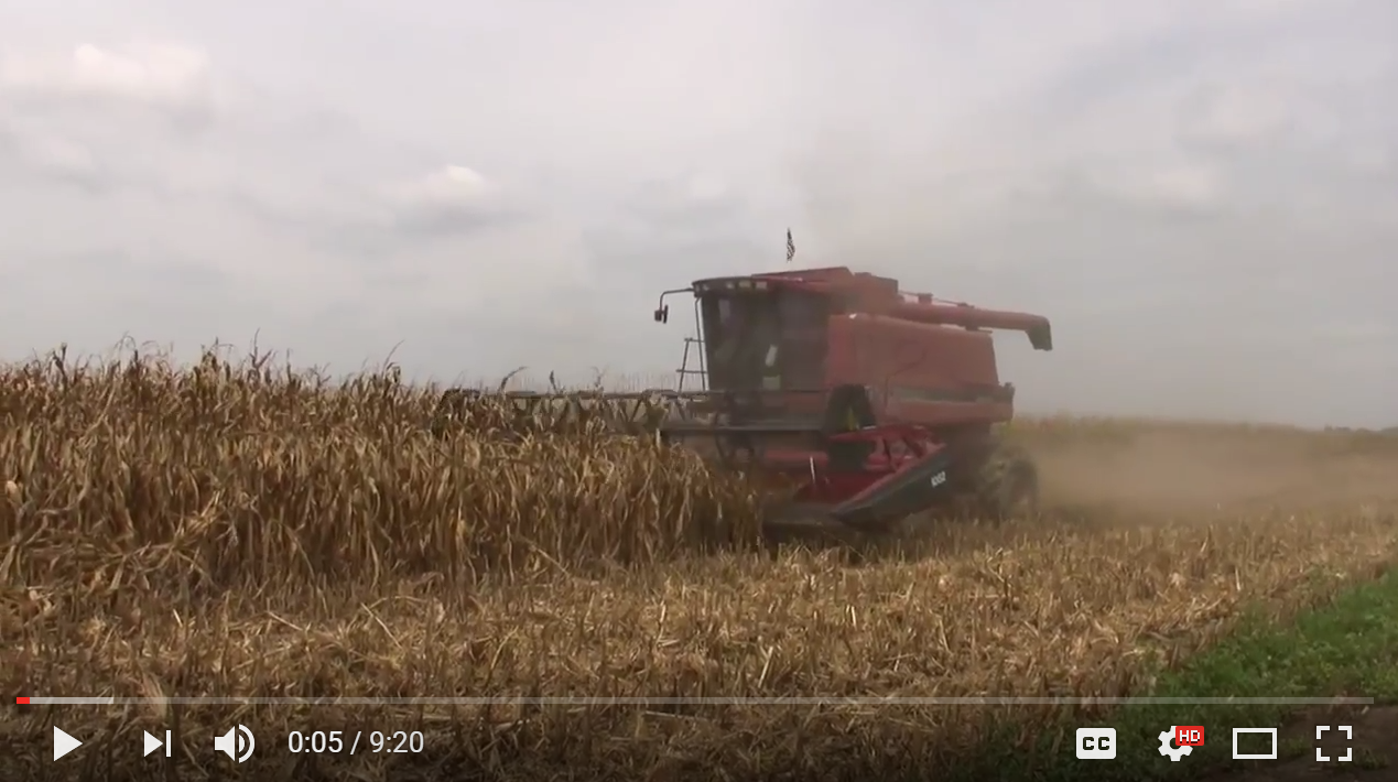 Thoughts from ACT Study Farmers - Lawrence Murphy - Video