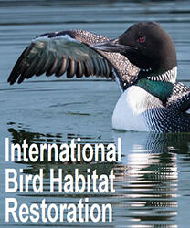 International Bird Habitat Restoration Brochure