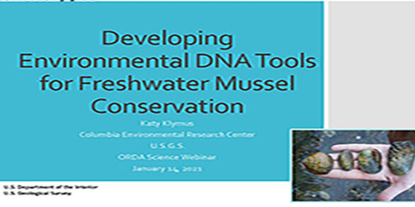 Titleslide_eDNA tools for freshwater mussel conservation