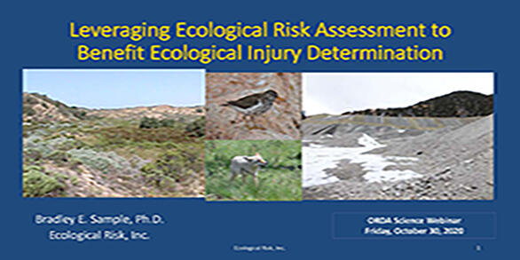 Titleslide_Sample_Ecological Risk Assessment and Injury Determination
