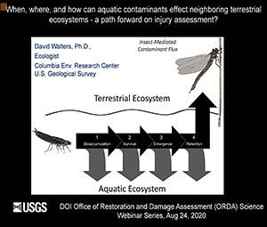 Aquatic contaminants effect neighboring terrestrial ecosystems